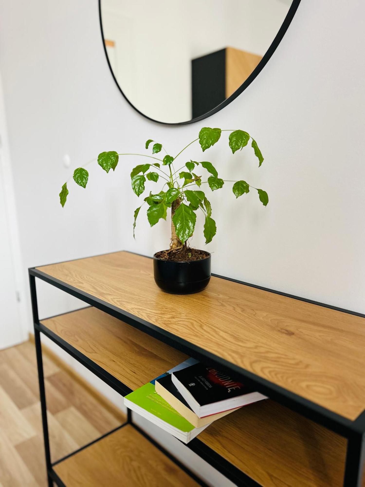Apartament, Free Parking, Blisko Rynek-dworzec Pkp-pks, Sklepy Apartment *